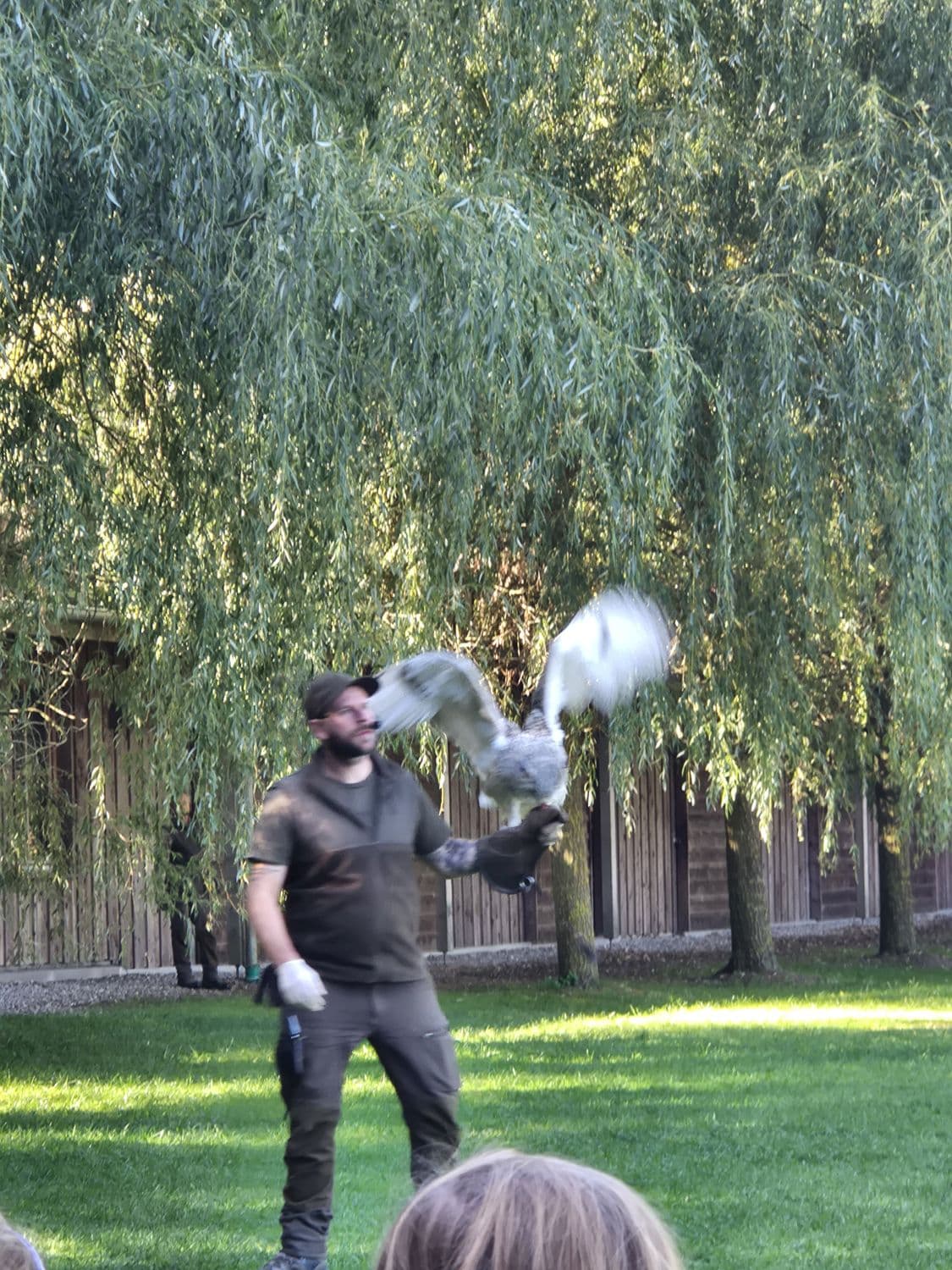 Vogelshow im Wildpark Poing