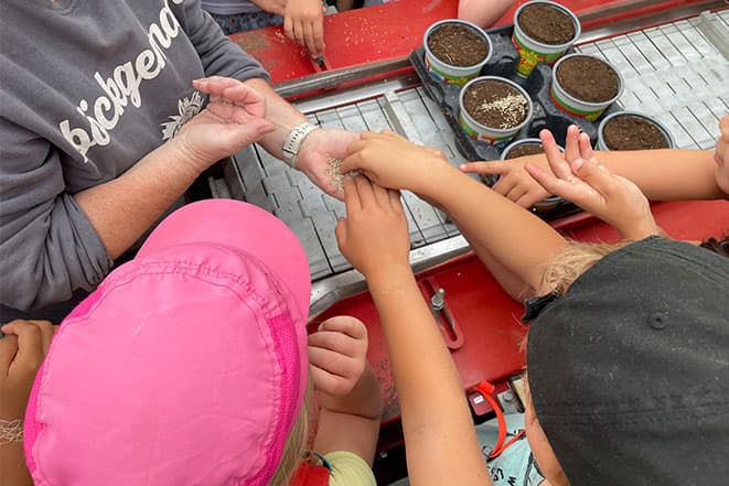 Kinder sähen Kräuter an